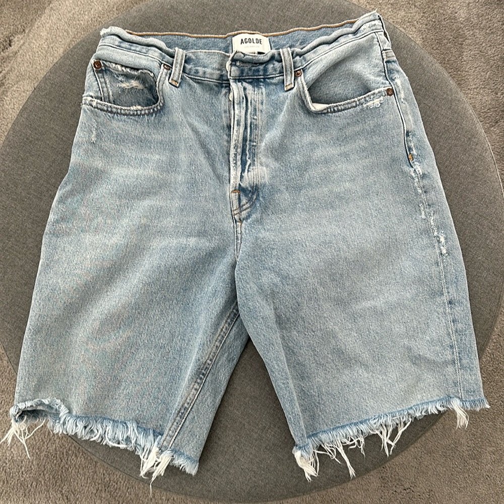 AGOLDE 90’s Pinch Waist Short in Lattitude